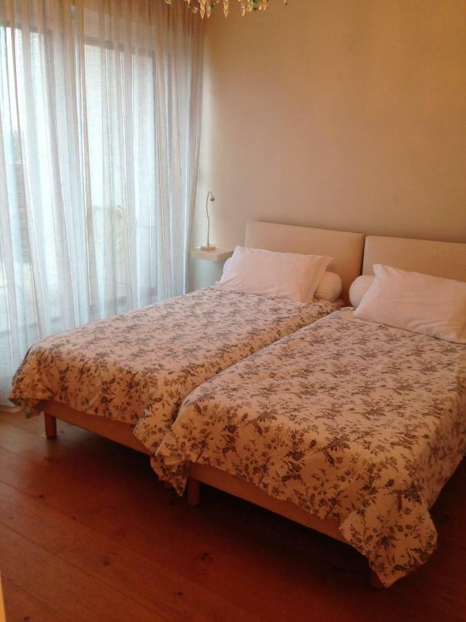 Nivelle Apartment แซ็งฌองเดอลูซ ภายนอก รูปภาพ
